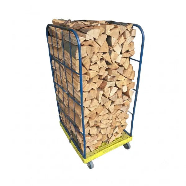 PIZZAHOLZ Buche 1 SRM 182